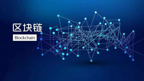 區(qū)塊鏈 天生的隱私保護(hù)生態(tài)平衡者及其技術(shù)推廣